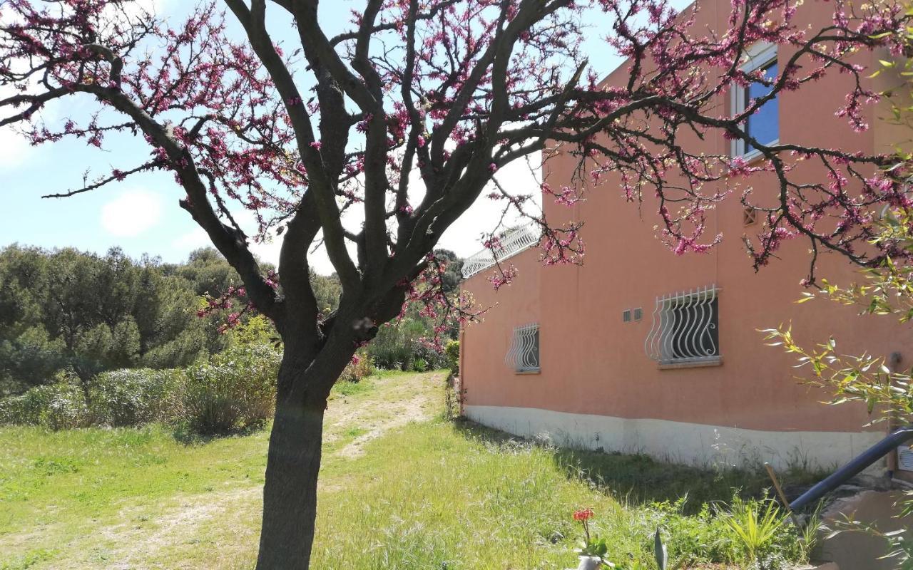Studio 28M2 Climatise,Wifi, Proche Des Calanques,Plages La Ciotat Luaran gambar