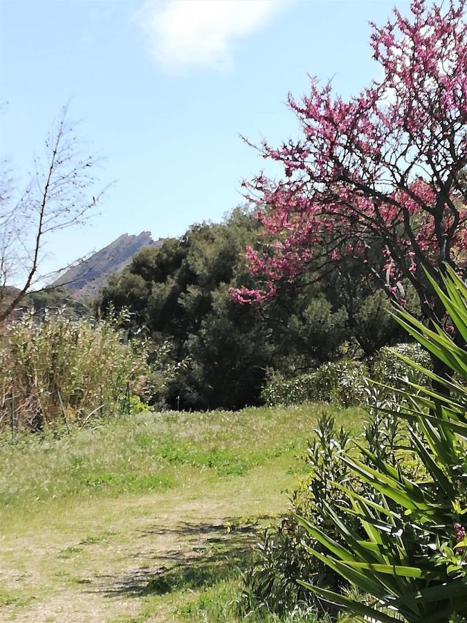 Studio 28M2 Climatise,Wifi, Proche Des Calanques,Plages La Ciotat Luaran gambar